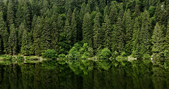 Lac Vert - Photo of Le Bonhomme