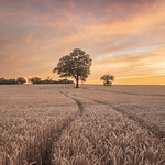 Harvest Sunset by Steven Baldwin