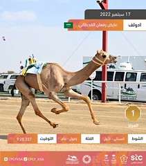 الصور.. ختامي مهرجان ولي عهد السعودية (رموز الحيل والزمول) مساء 17-09-2022