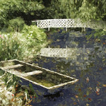 Water Garden by Paul Lambeth