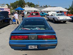 1986 Pontiac Firebird - Rear
