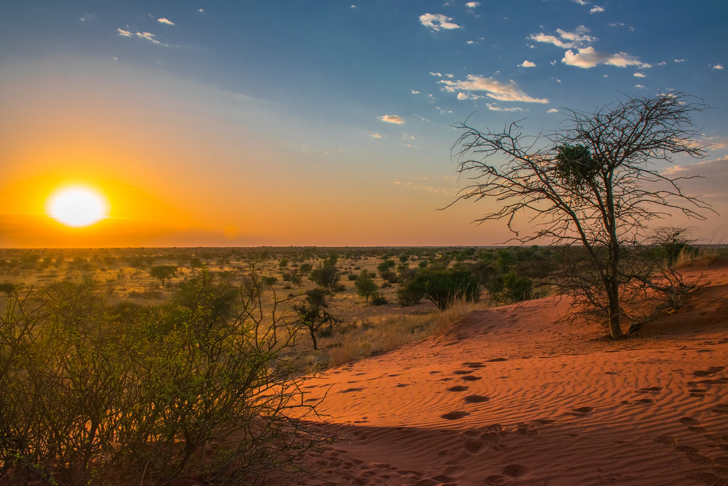 Lever du soleil dans le désert du Kalahari