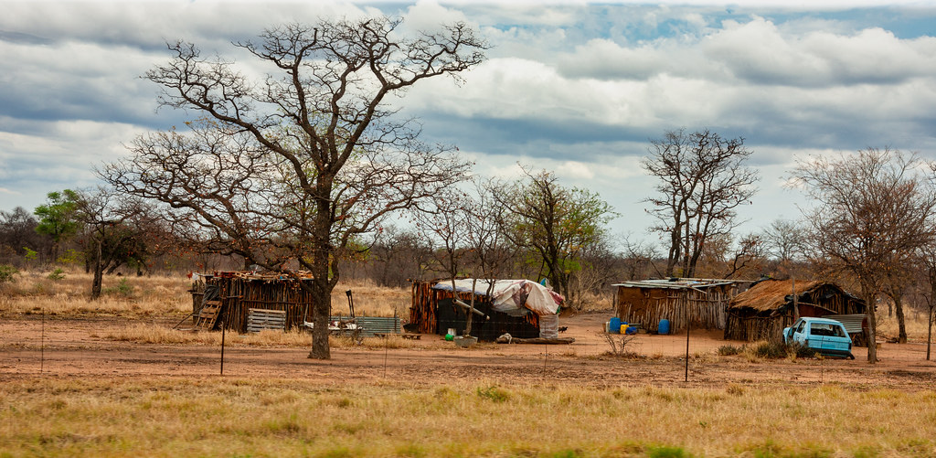 Maisons de village africain à côté d’un baobab