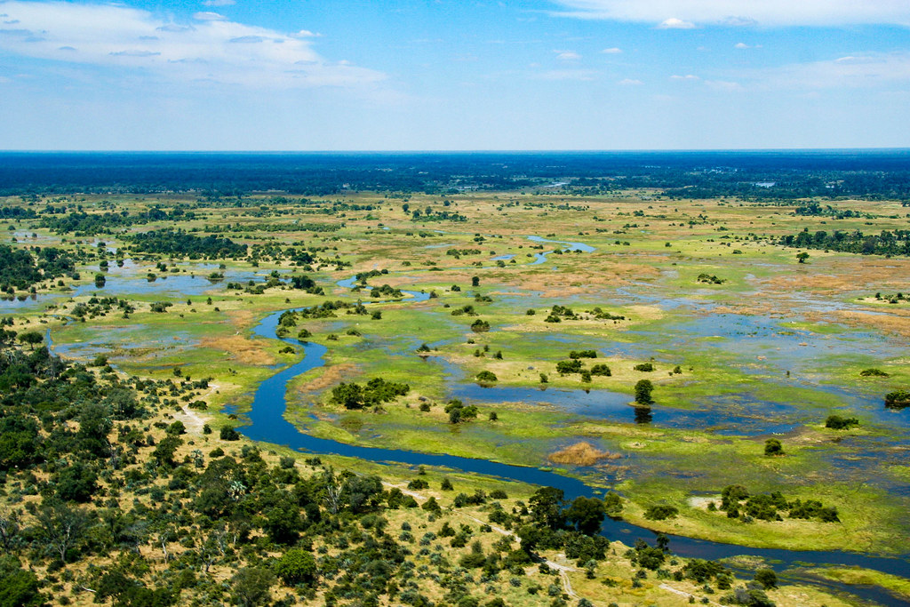 Le Delta de l'Okavango, Botswana