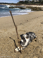 Found a stick