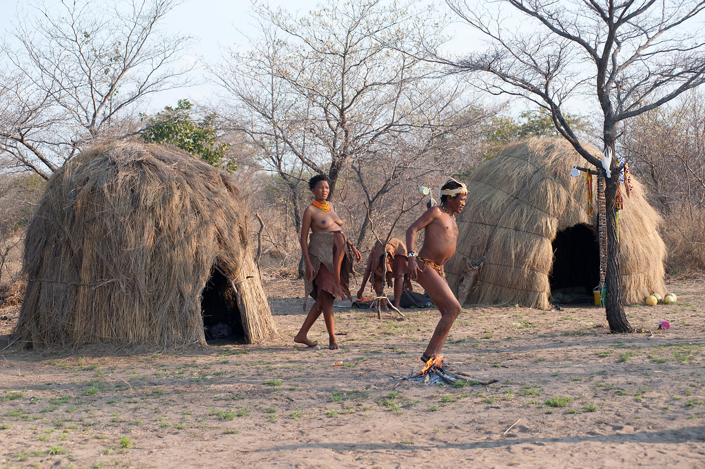 Habitation désert du Kalahari