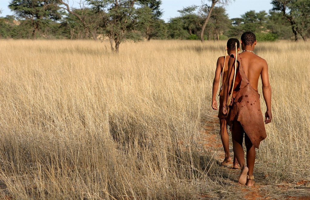 Bushman du Kalahari