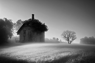 the house in the field