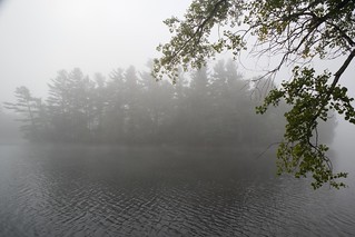 River in the Fog