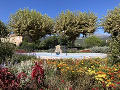 Saint-Cézaire-sur-Siagne Flowers - Photo of Fayence