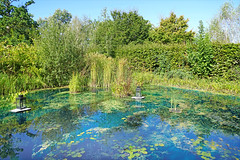 L-étang bleu (Domaine de Chaumont-sur-Loire - Photo of Ouchamps