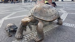 Tortoise Sculpture - Photo of Villenave-d'Ornon