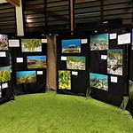 Seagrass Photo Contest
