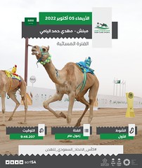 صور رموز الحيل والزمول بختامي كأس الإتحاد السعودي للهجن 5-10-2022