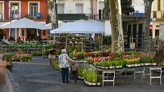 Sète: Place du Pouffre - Photo of Mèze