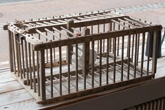 Cage à poules - Photo of Pomeys