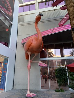 Las Vegas: Flamingo