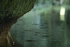 Emerald Cave - Photo of Peyzac-le-Moustier