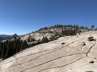 Yosemite: Olmsted Point