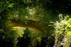 Pont dans la végétation - Photo of Sainte-Florence