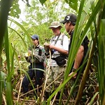 Dr Steven Platt and team observing crocodile nesting site