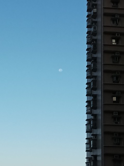 morning moon