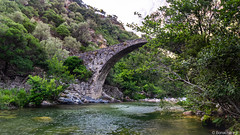 Le pont génois de Pianelli-05 - Photo of Balogna