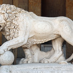 Un des deux lions de la Villa Médicis - https://www.flickr.com/people/130828646@N02/
