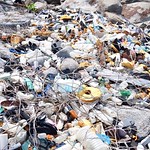 Ile blanche island's not so beautiful plastic pollution