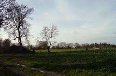 The fields of Morsan - Photo of Folleville