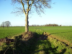 The fields of Morsan - Photo of Folleville