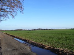 The fields of Morsan - Photo of Saint-Georges-du-Vièvre