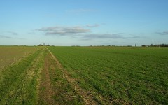 The fields of Morsan - Photo of Saint-Aubin-de-Scellon