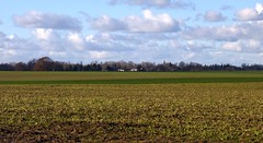 The fields of Morsan - Photo of Saint-Pierre-des-Ifs