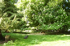 The park of Morsan - Photo of Saint-Georges-du-Vièvre