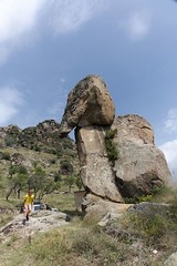 Kamienny słoń pod Wieżami Marka