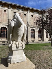 Mr. Pelican - Photo of Le Palais-sur-Vienne