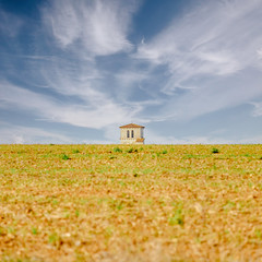 Le clocher - Photo of Landes