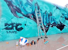 Graffiti La Rochelle, le Gabut - Photo of Lagord