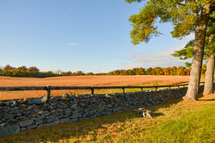 Fall landscape at the State Arboretum of Virginia