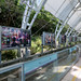 Sunny Bay station to HK Disneyland