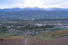 Vignes @ Montmélian - Photo of Sainte-Hélène-du-Lac
