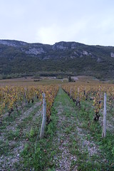 Chemin des Vignes @ Montmélian - Photo of Saint-Maximin