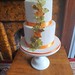 Autumnal two tiered Wedding cake