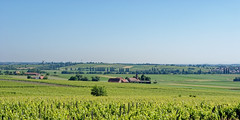 Countryside - Photo of Cosswiller