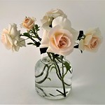 3rd PDI 1 Competition Smartphone - Roses in a Vase by Patricia Reid