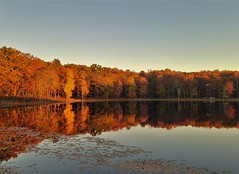 Lake Redington Autumn Scene