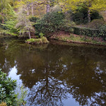 Waterfall Pond, Leonardslee Gardens by Elaine Robinson