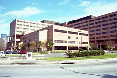 Tampa General Hospital, 1986
