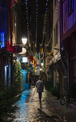 La rue de Pinocchio en lumières (rue Paillot-de-Montabert)